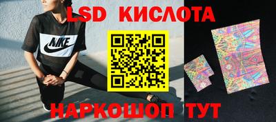 прущие грибы Рязань