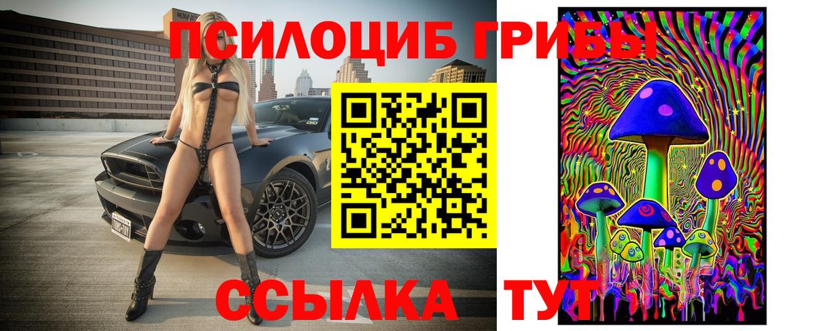 Саранск  Галлюциногенные грибы Cubensis  Псилоцибиновые грибы Psilocybe  Вход с VPN 