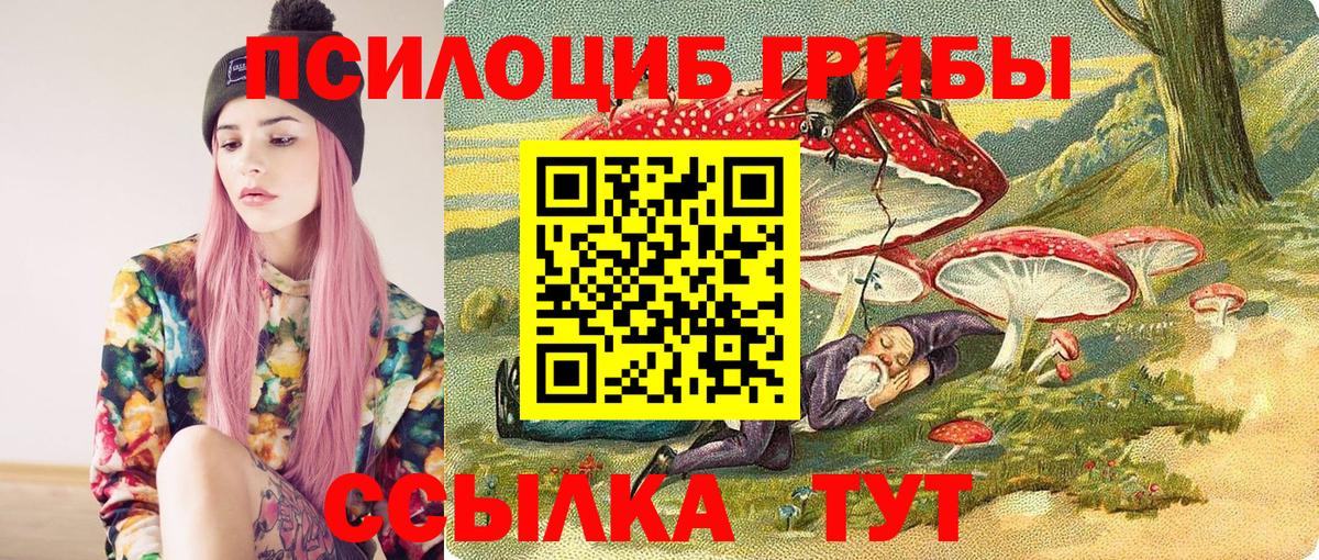 Галлюциногенные грибы Psilocybe Саранск